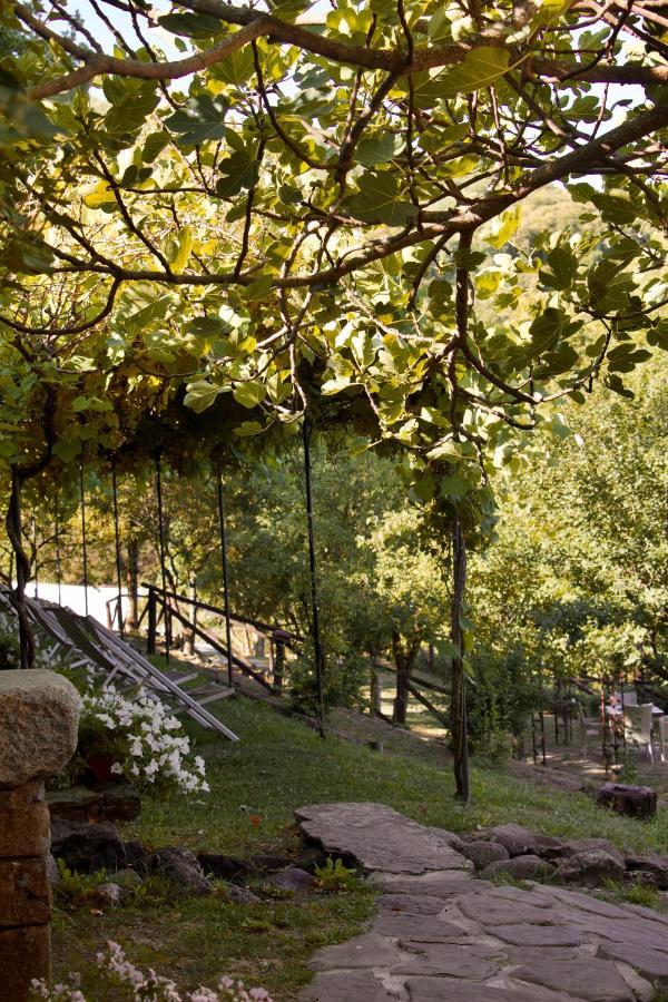 Borgo Casale Guest House Albareto  Luaran gambar